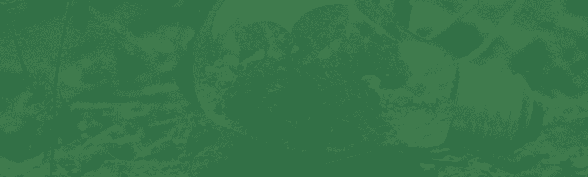 环保巡查智慧管理平台